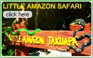 Little Amazon Safari
