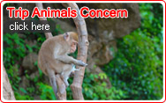 Trip Animals Concern