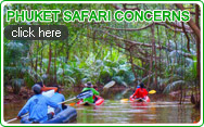 Phuket Safari Concern