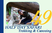Half Day Safari Trekking and Canoeing