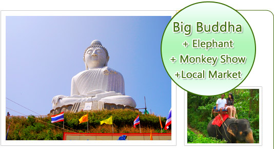 Big Buddha and Elephant and Monkey Show and Local Market