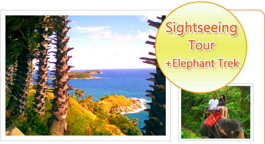 Phuket Sightseeing Tour and Elephant Trekking
